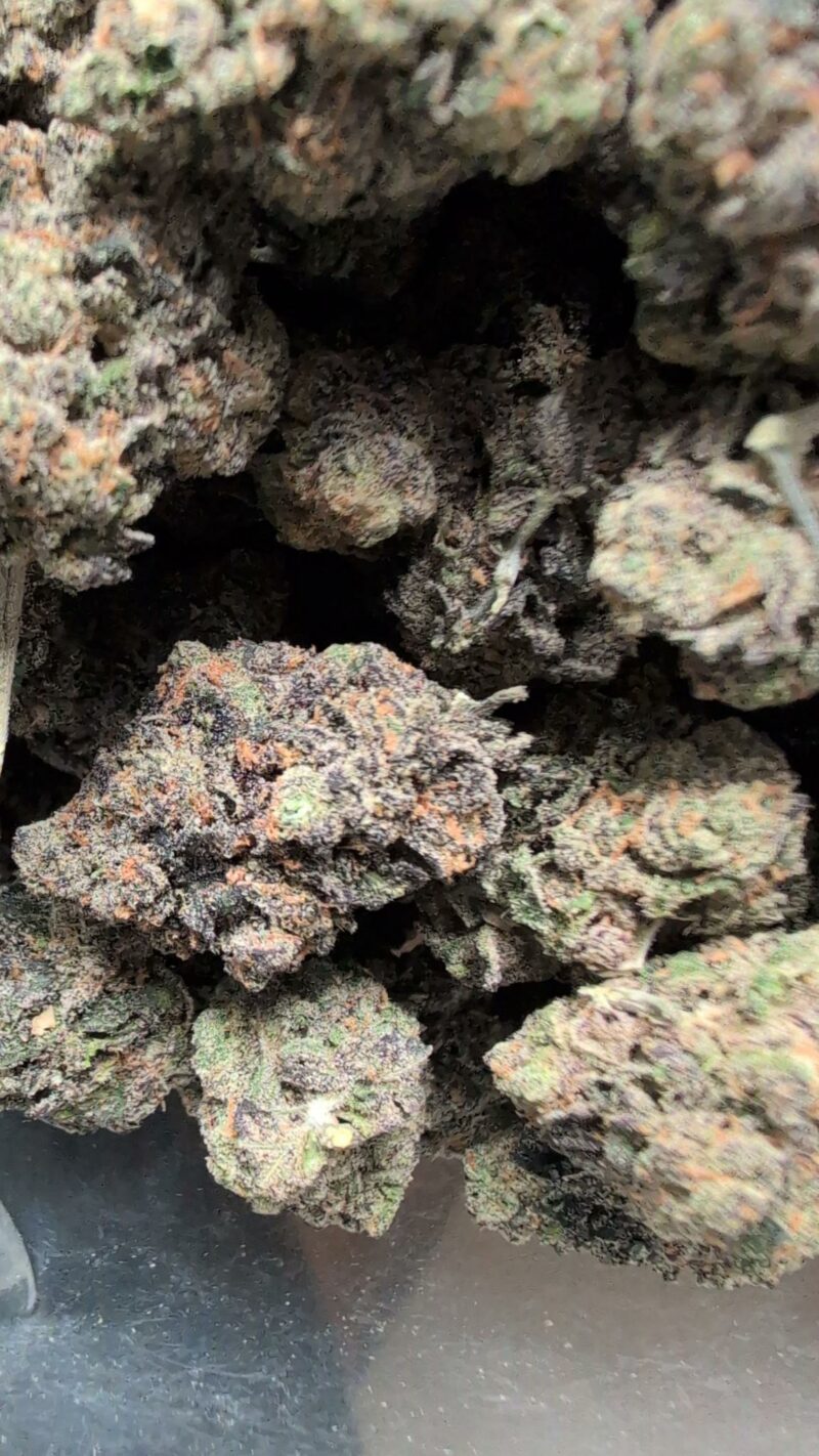 White Cherry Gelato - 1oz - Image 2